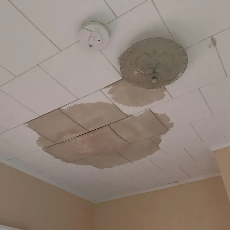 Ceiling Water Damage Repair in Otter Tail County, MN