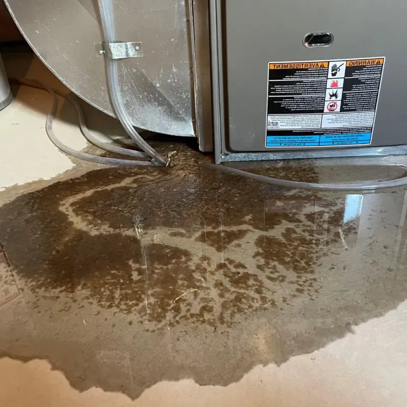 Pipe Burst and Leak Restoration in Otter Tail County, MN