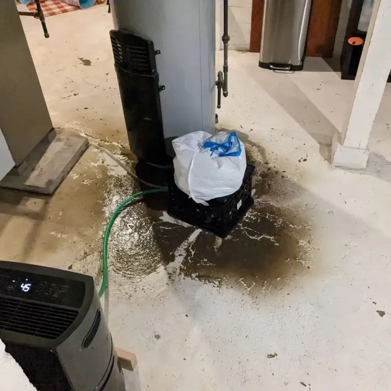 Sewage Backup Cleanup Service in Otter Tail County, MN